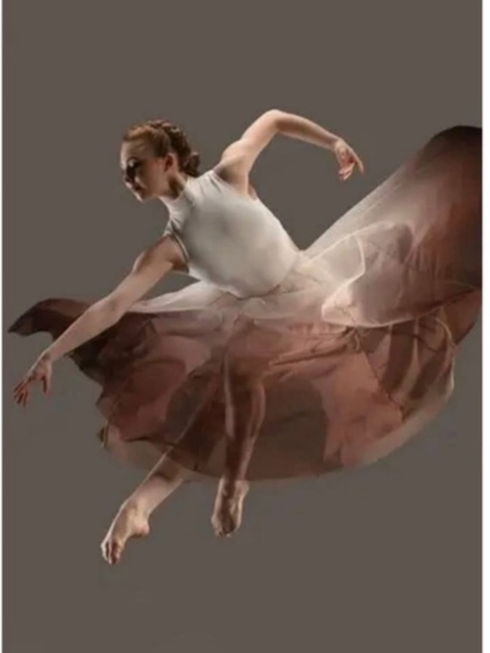 Weissman Sheer Brown Circle Skirt - Soft Chiffon Movement